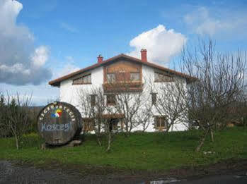 Kostegi